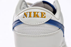 Nike Dunk Low DX3198-133