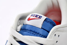 Nike Dunk Low DX3198-133