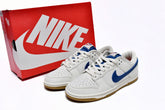 Nike Dunk Low DX3198-133